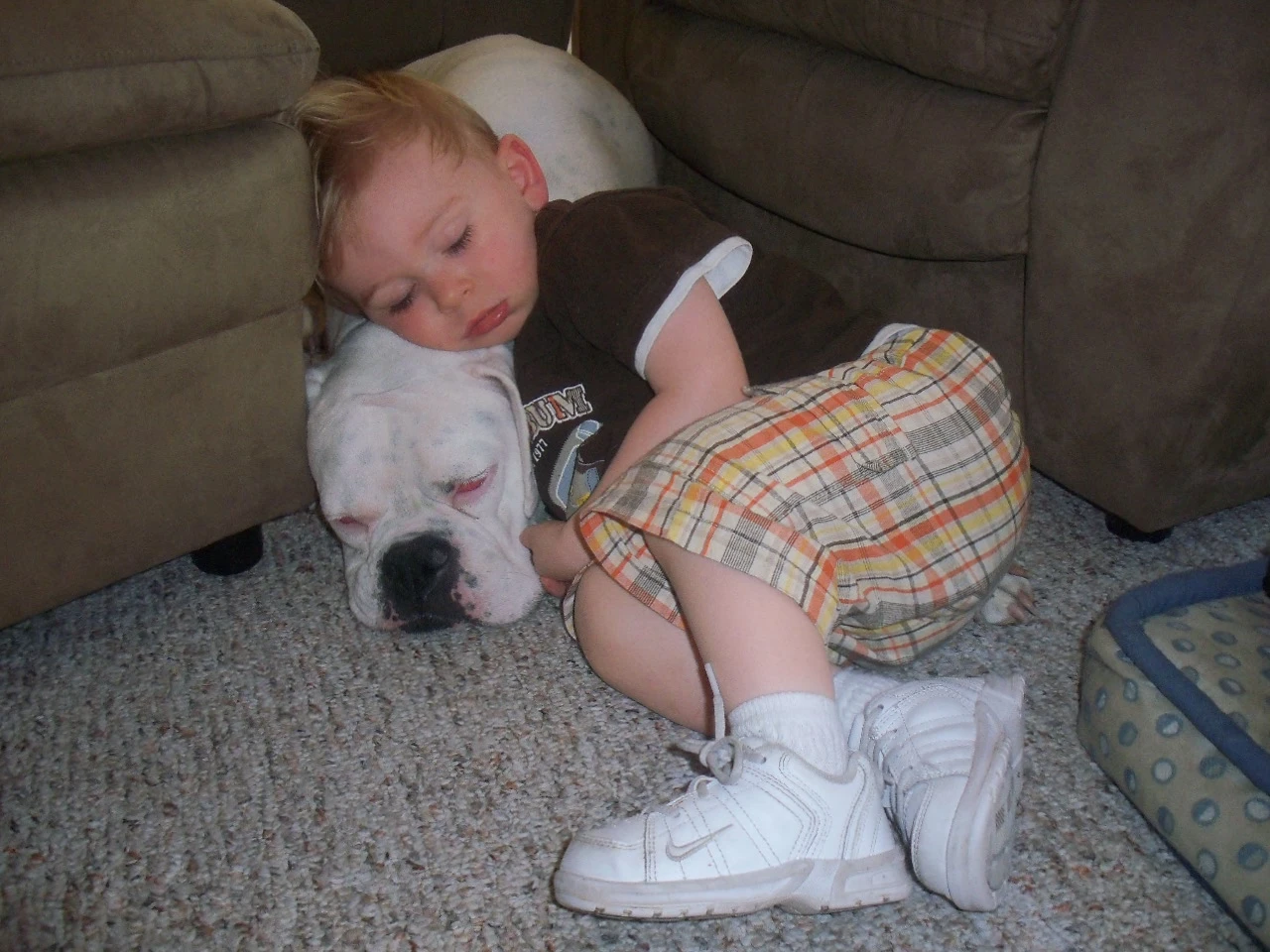 100_0597.webp