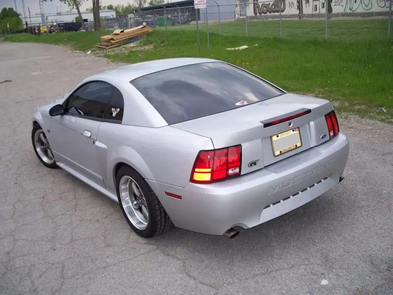 100_0600.webp