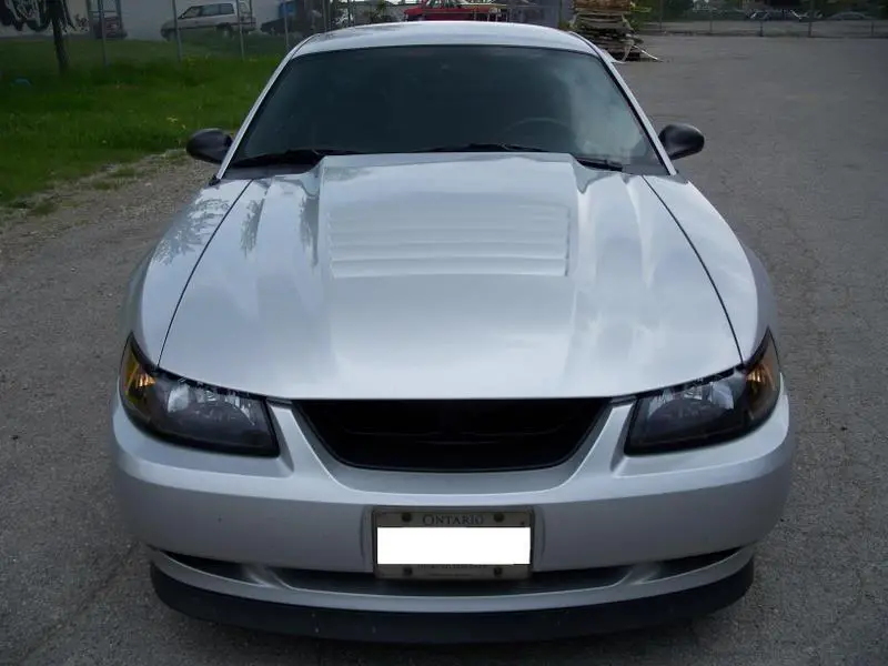 100_0607-1.webp