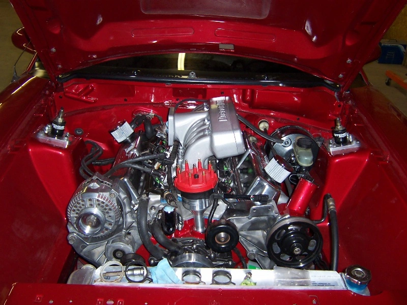 100_0645.webp