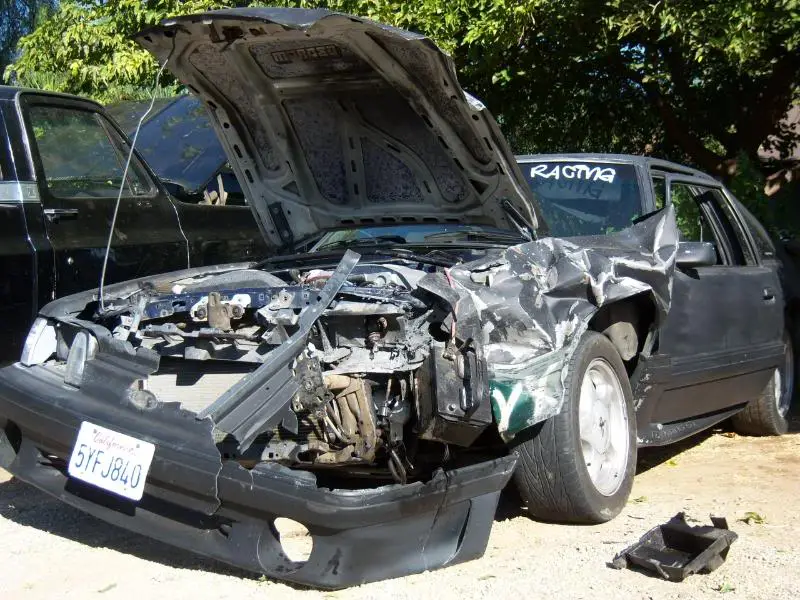 100_0653.webp