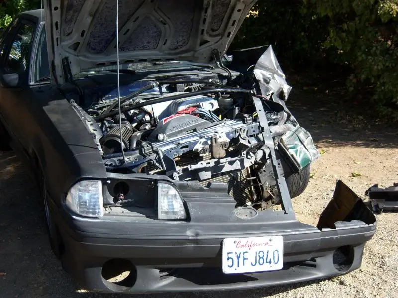 100_0654.webp