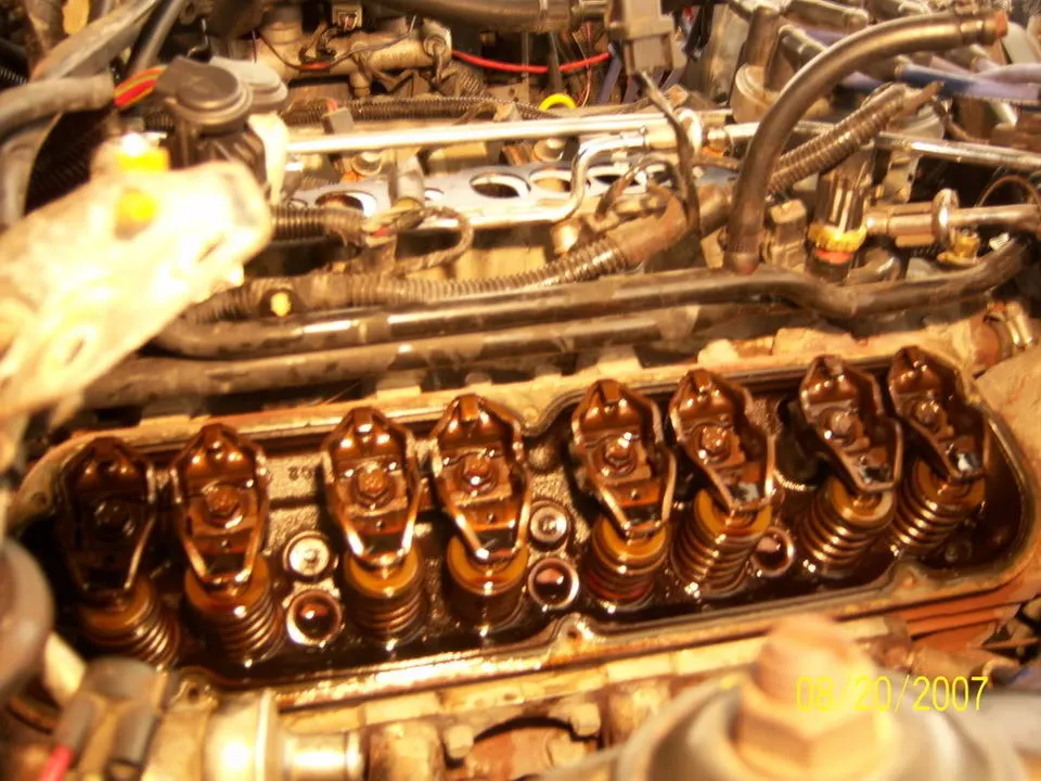 100_0667.webp