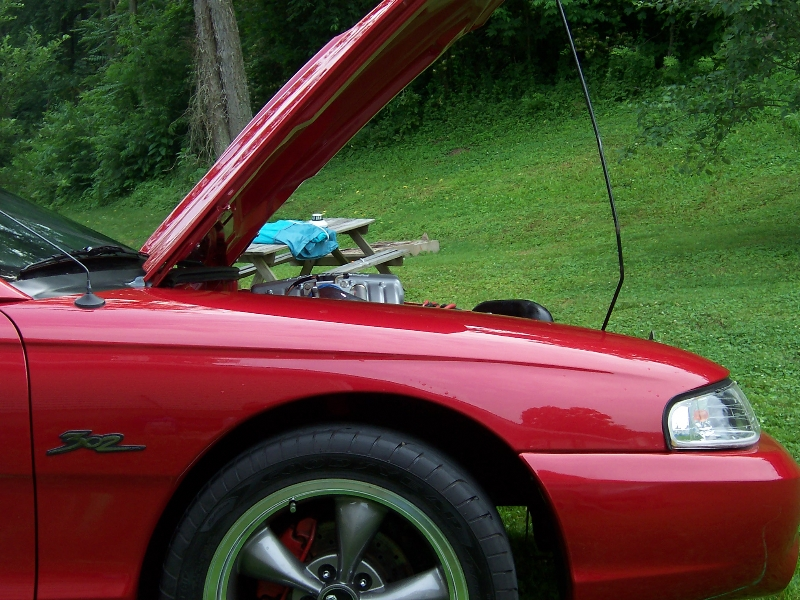 100_0671.webp