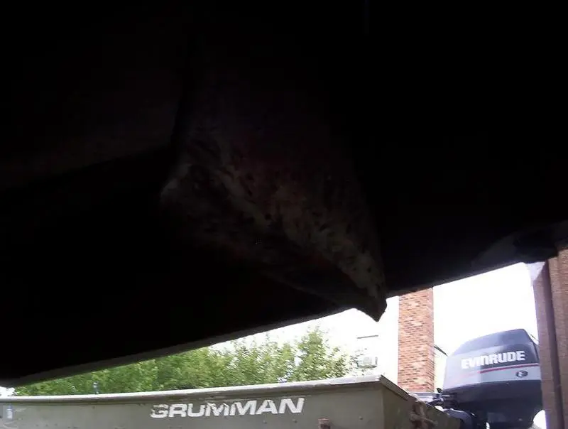 100_0684.webp
