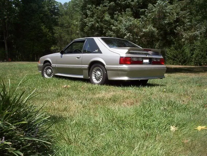100_0705edit.webp