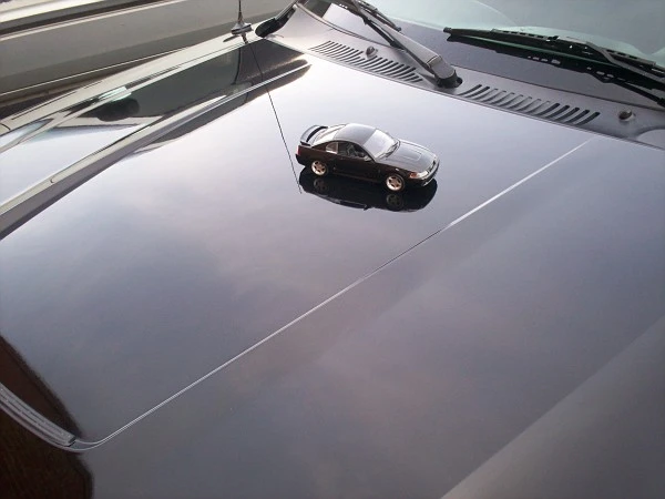 100_0739-vi.webp