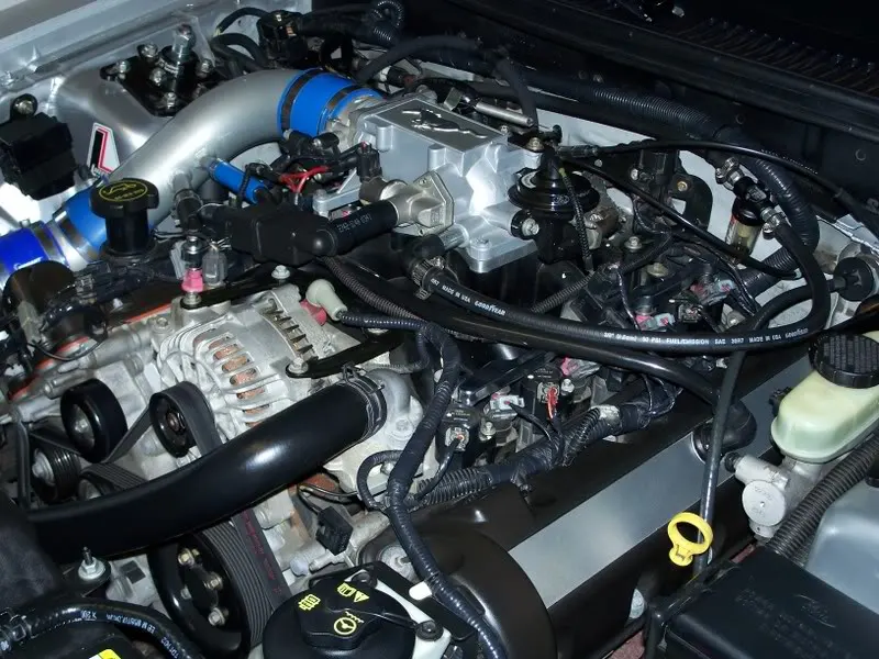 100_0961.webp