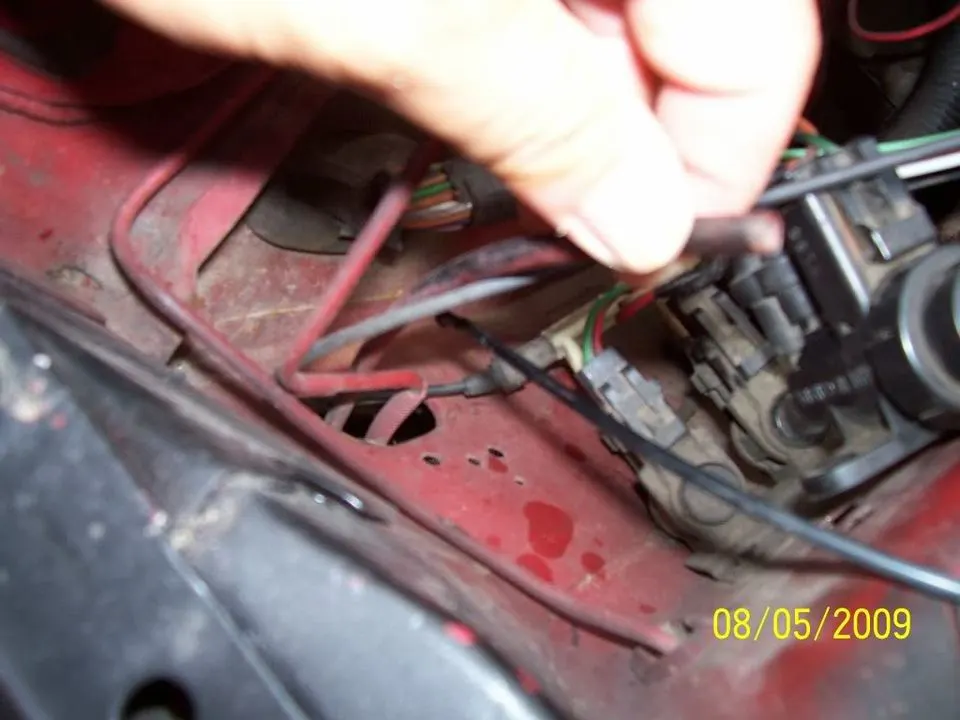100_0967.webp