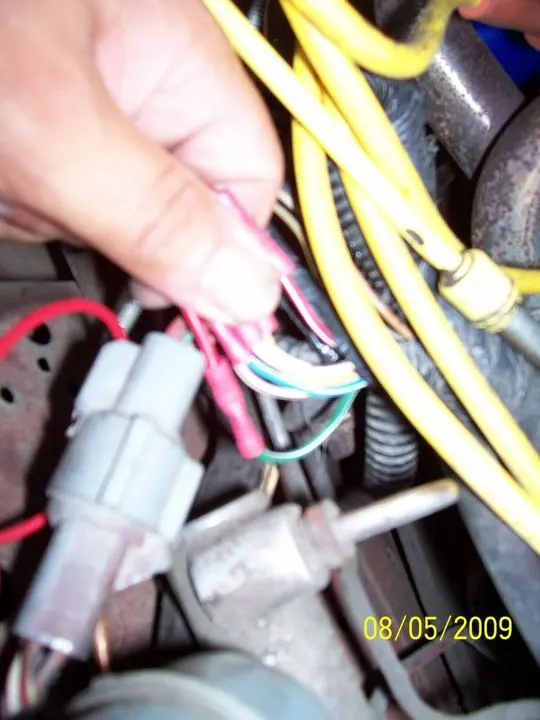 100_0969.webp