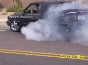 100_0983.webp