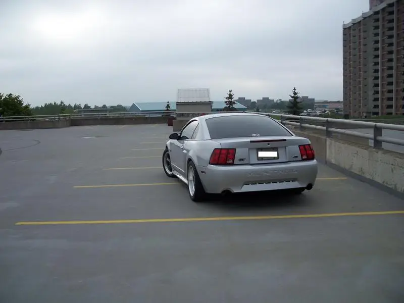100_1013.webp