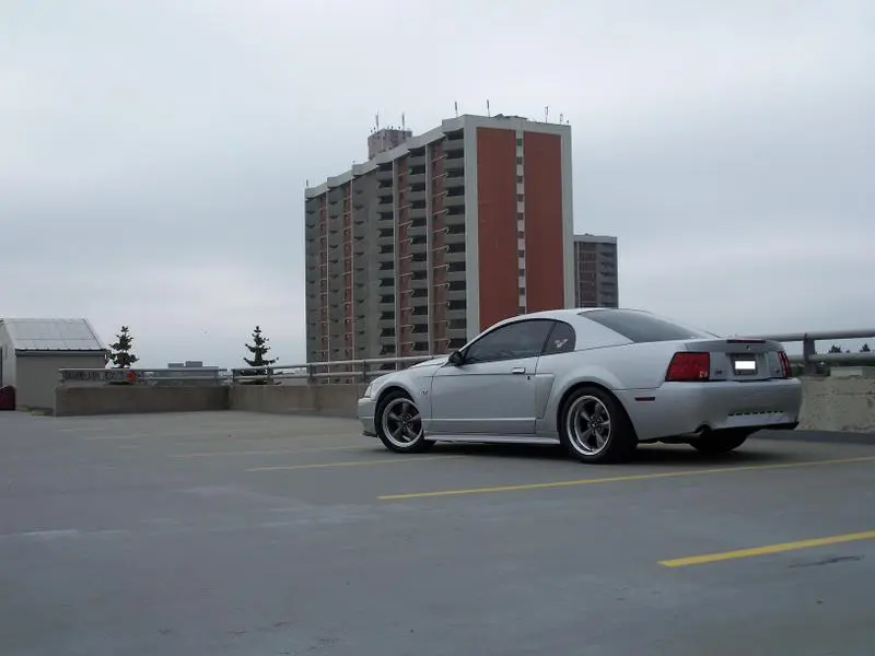 100_1014.webp
