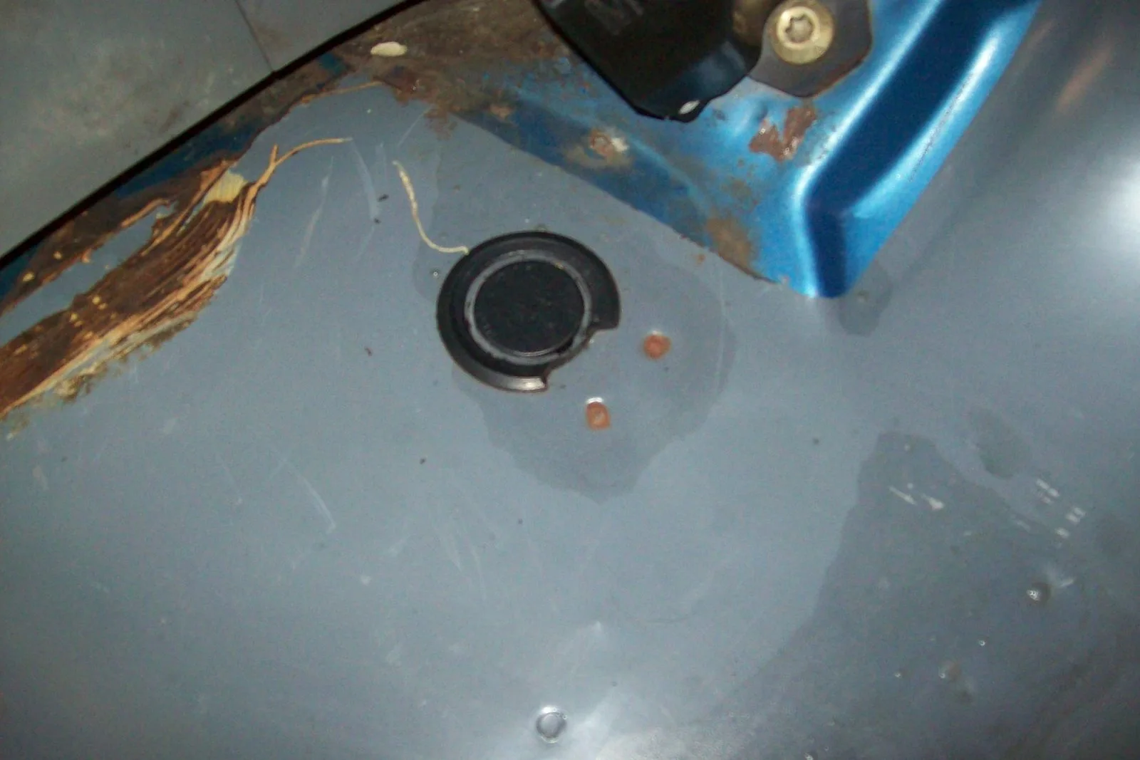 100_1106.webp