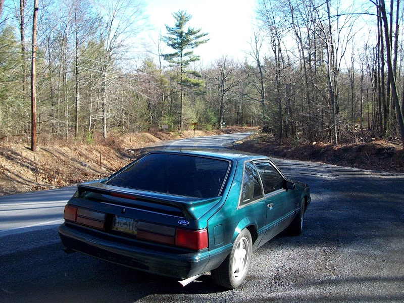 100_1110.webp