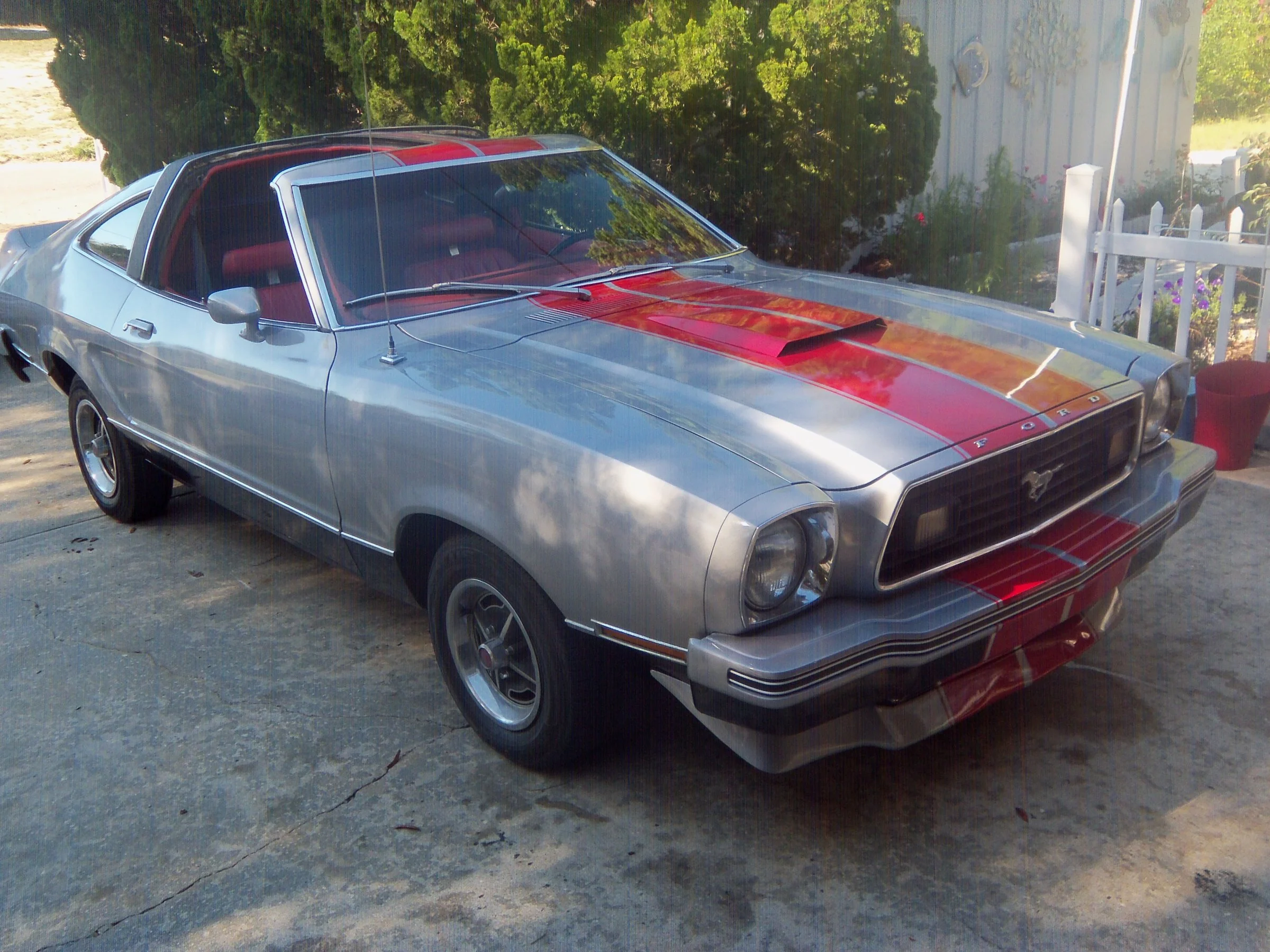 100_1509-jpg.582179.webp