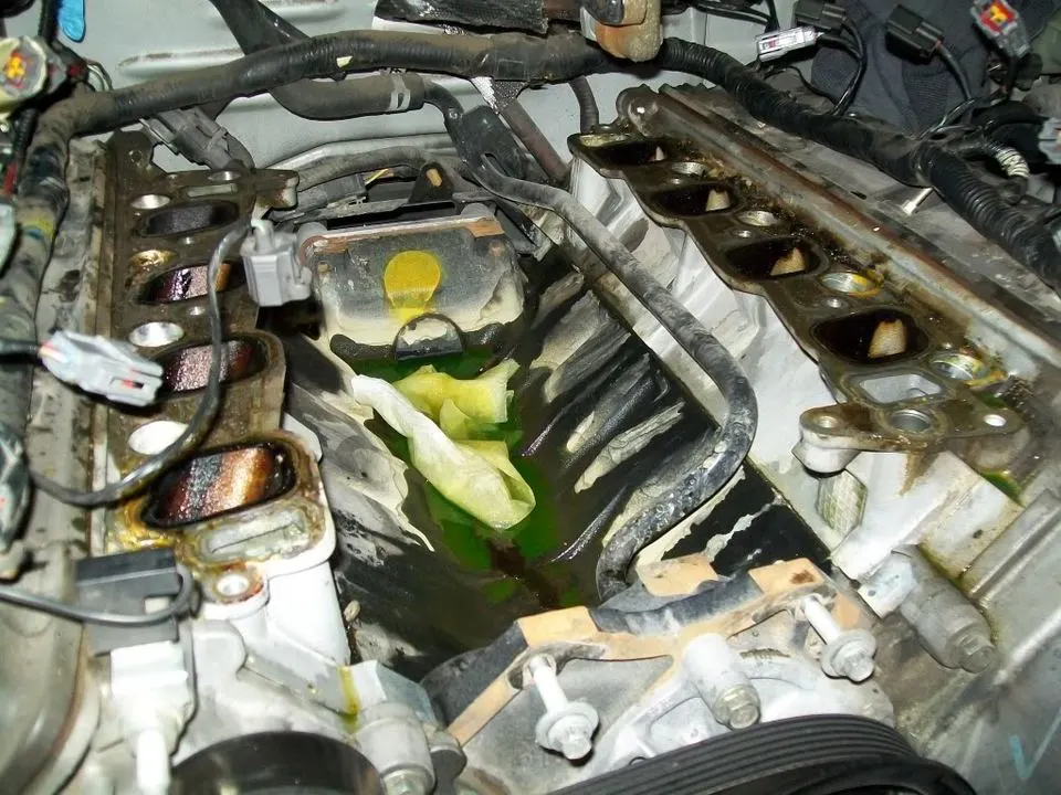 100_1711.webp