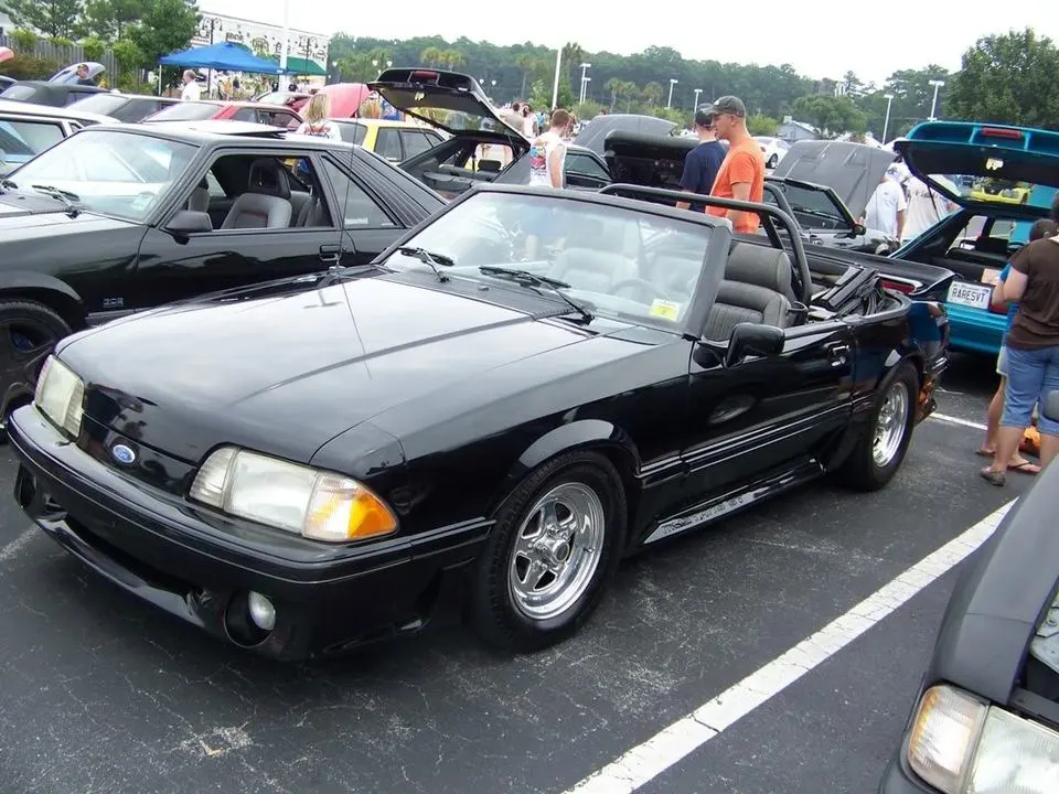 100_2195.webp