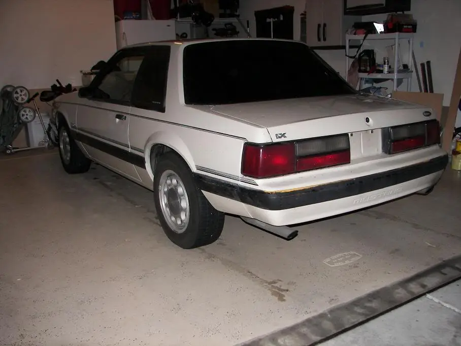 100_2871.webp