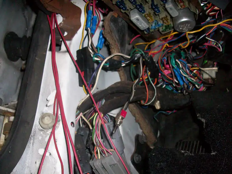 100_2939.webp