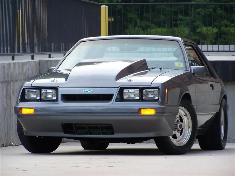 100_2986Medium.webp