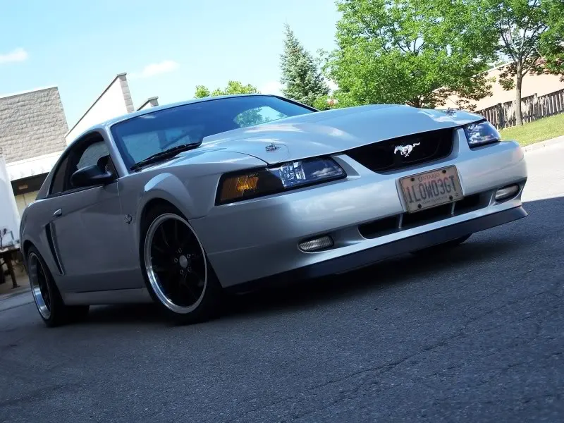 100_3004.webp