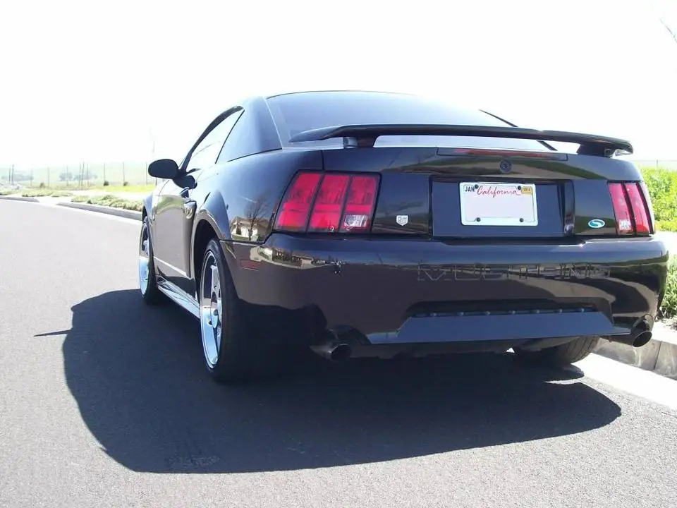 100_3353-1.webp