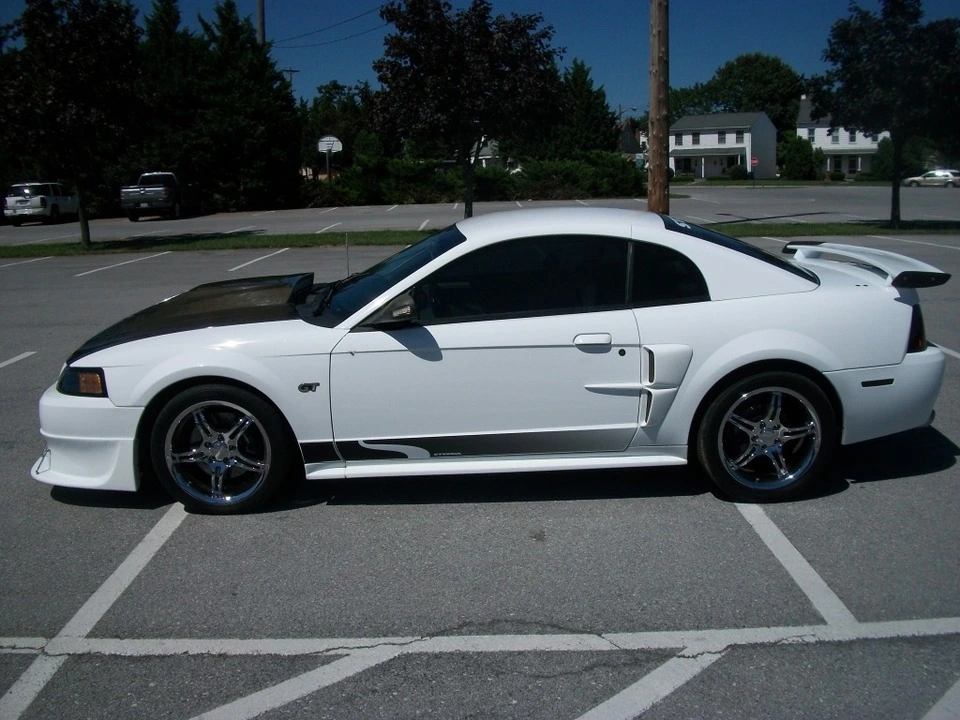 100_3458.webp