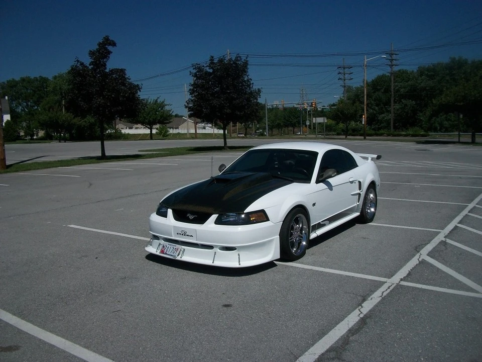 100_3459.webp