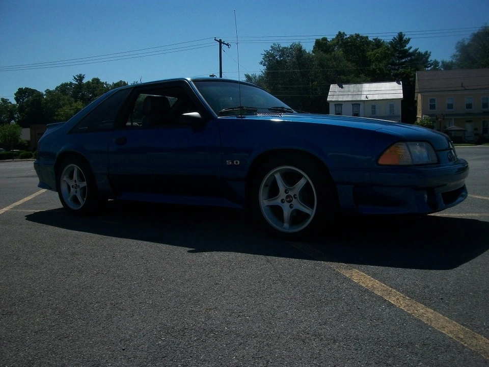 100_3486.webp