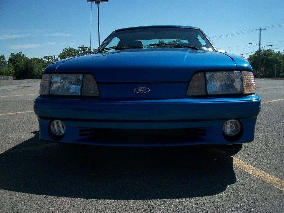 100_3491.webp