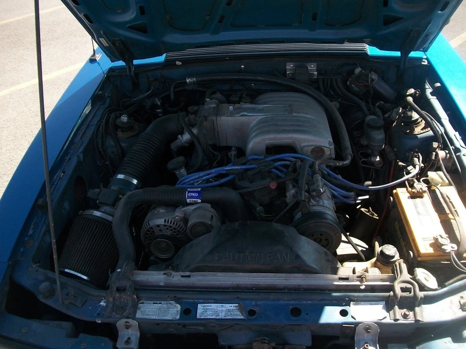 100_3498.webp
