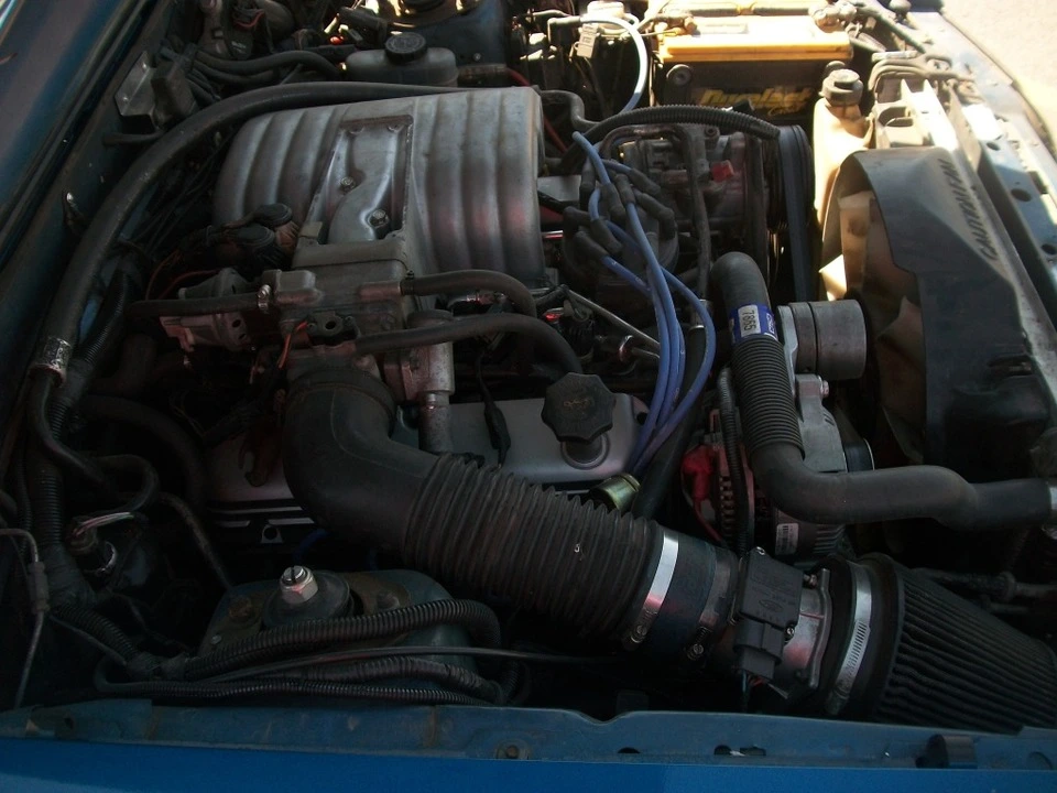 100_3499.webp
