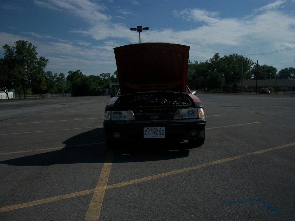 100_3503.webp