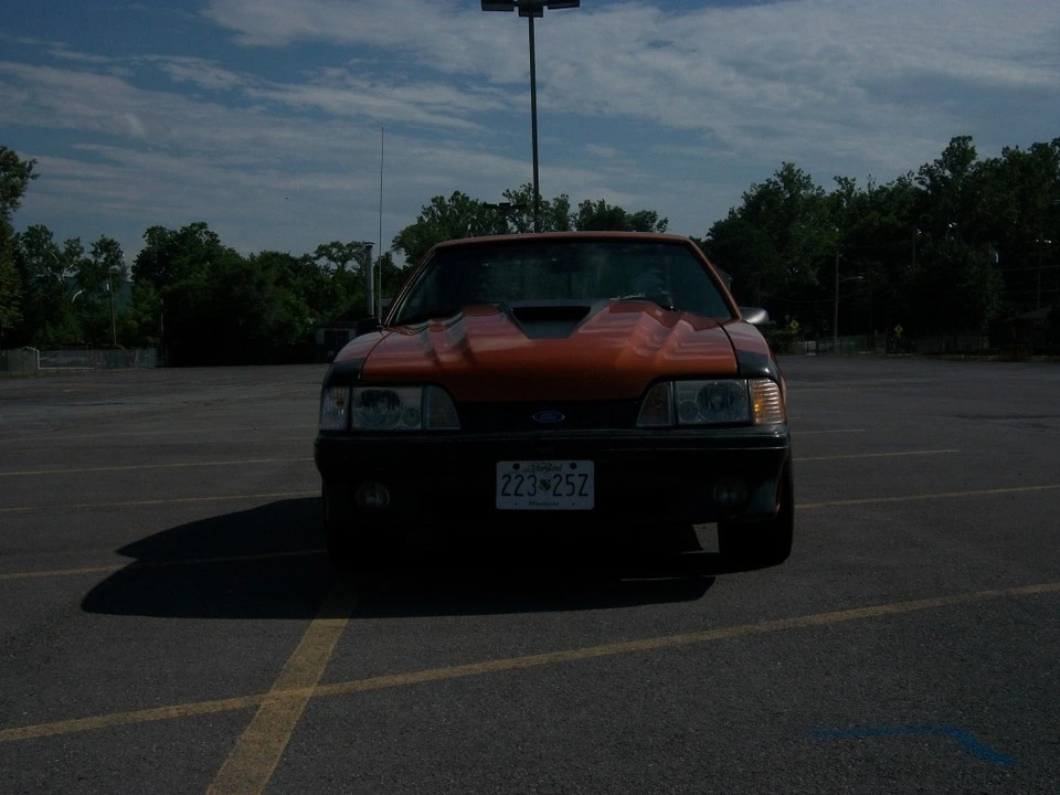 100_3507.webp
