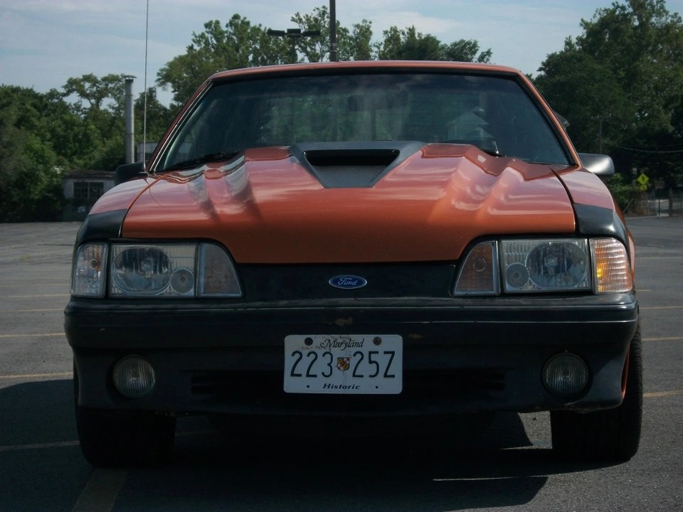 100_3508.webp