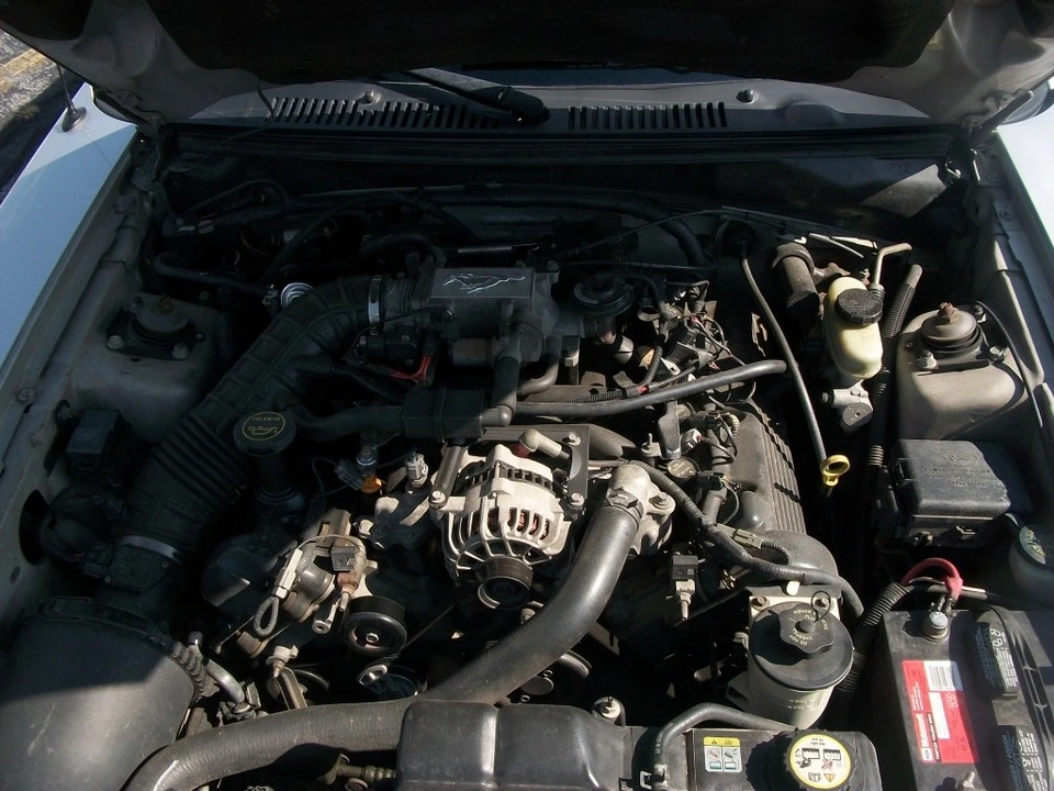 100_3515.webp