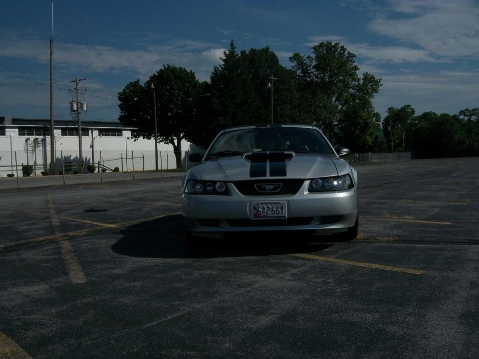 100_3518.webp