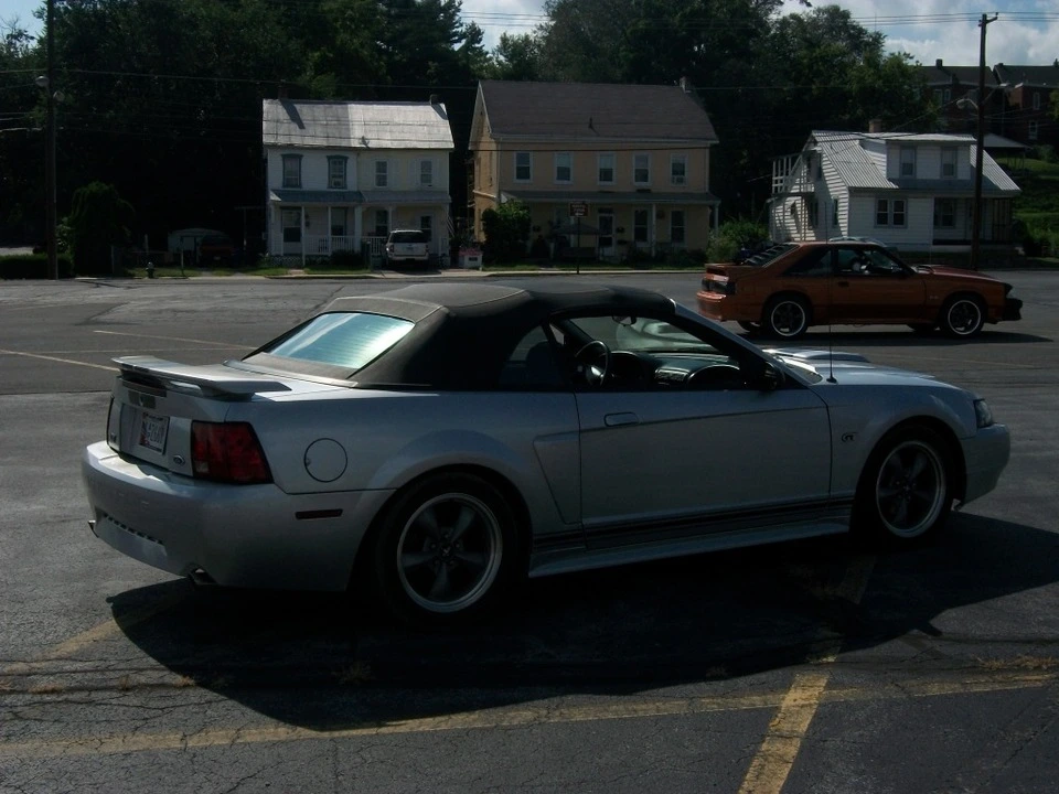 100_3519.webp