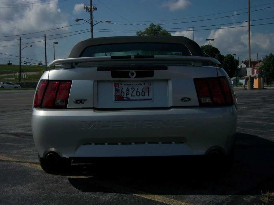 100_3521.webp