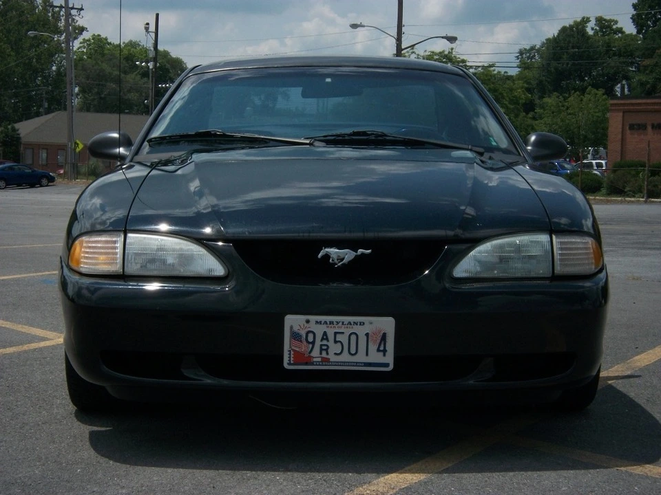 100_3537.webp