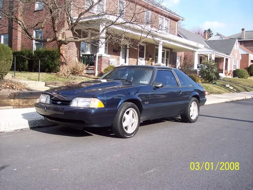100_3611.webp