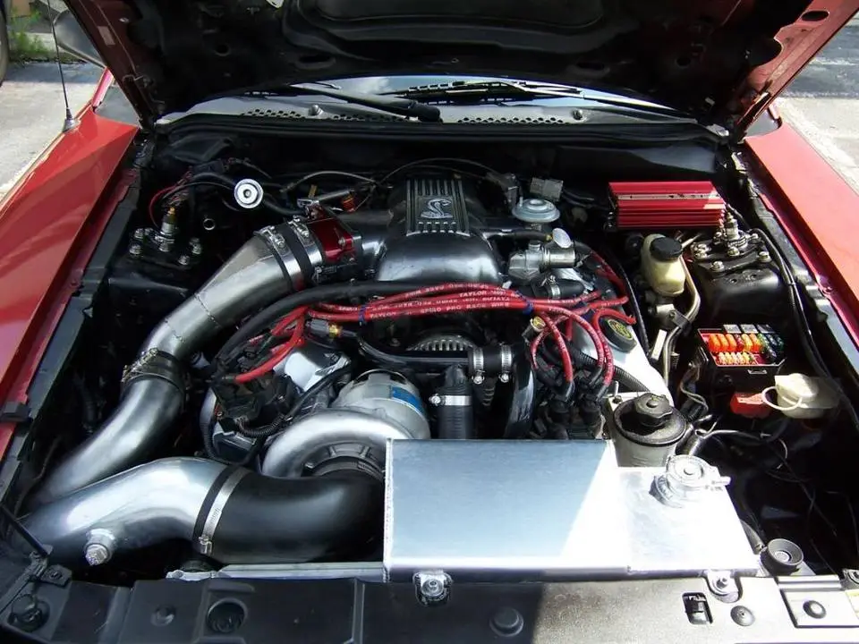 100_3959.webp