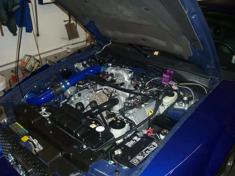 100_4535.webp