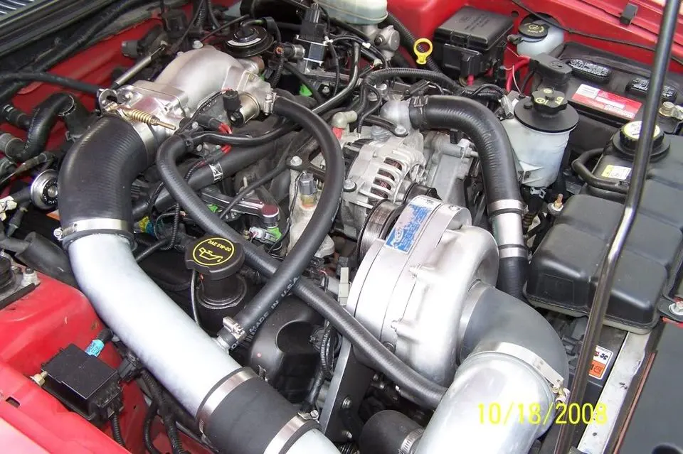 100_5391.webp