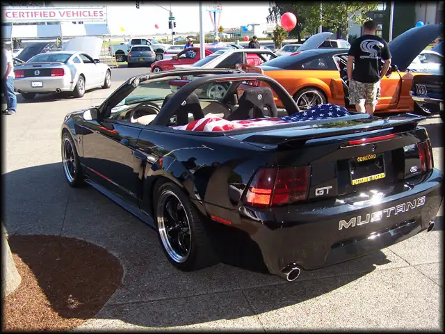 100_6006.webp