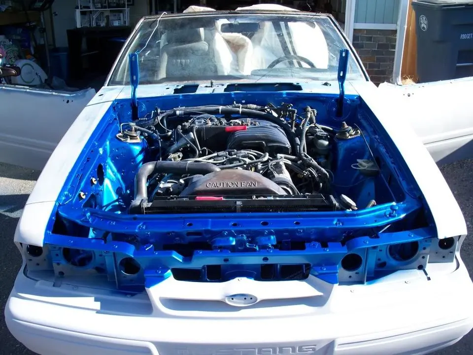 100_6600.webp