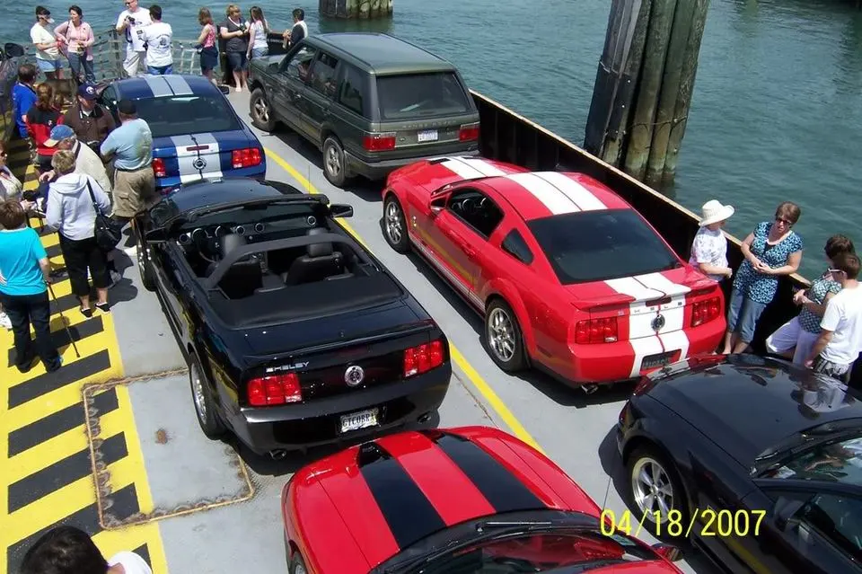 100_8429.webp