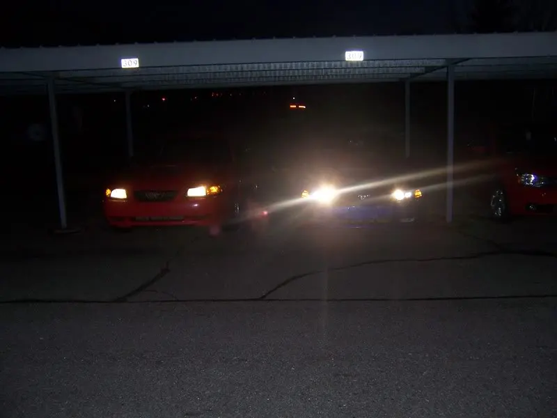 100_8847.webp
