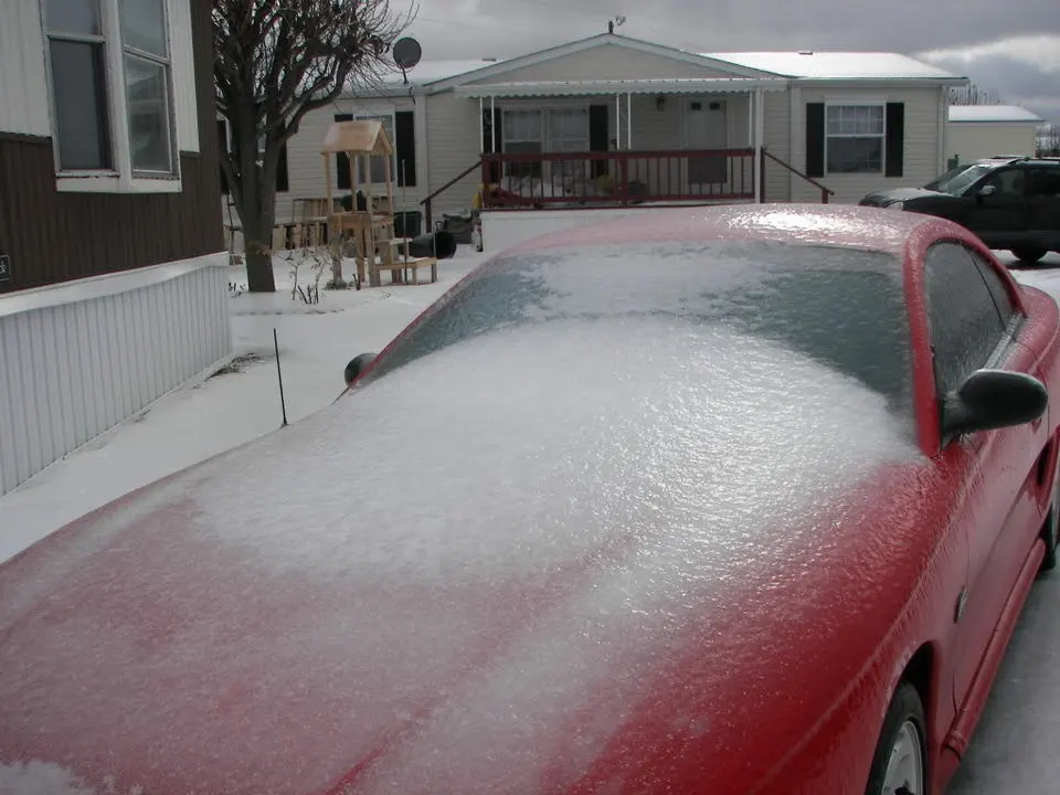 100_9063.webp